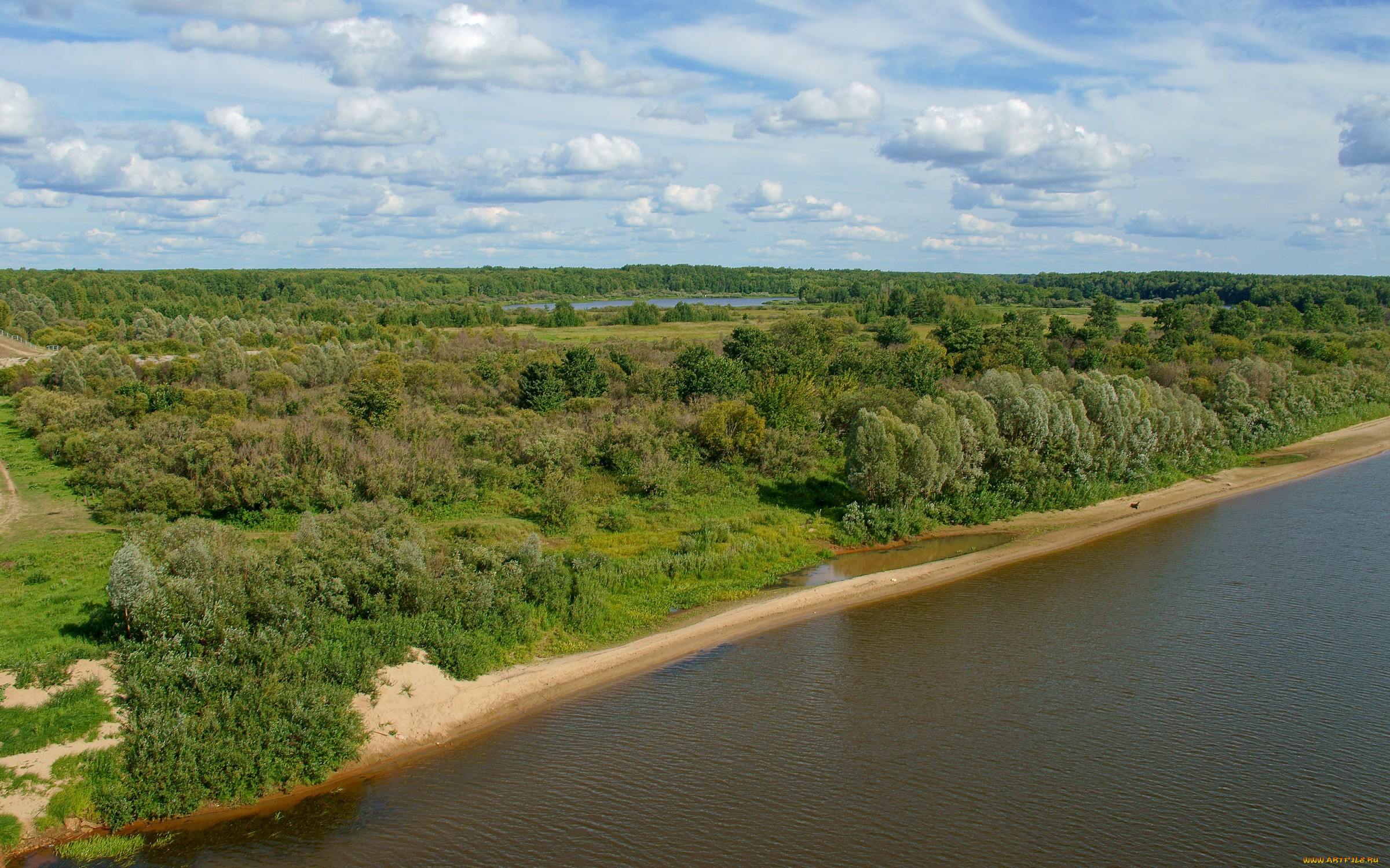 Берег реки Ветлуга